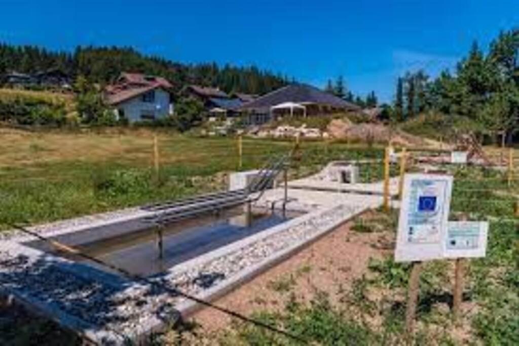 Ferienwohnung Am Skilift Herrischried Exterior foto