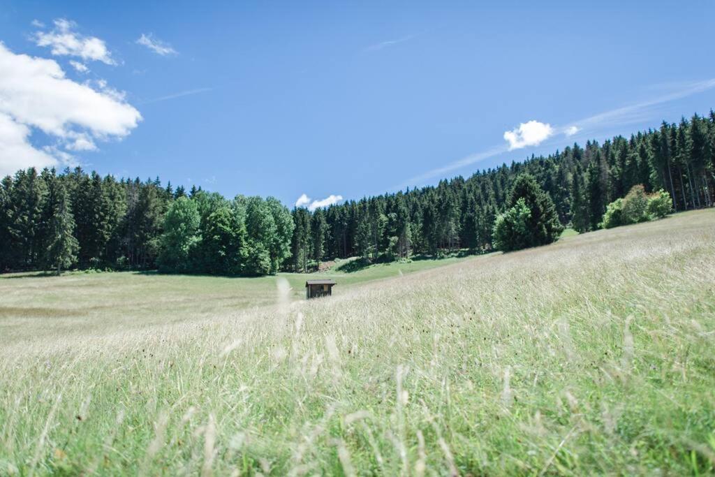 Ferienwohnung Am Skilift Herrischried Exterior foto