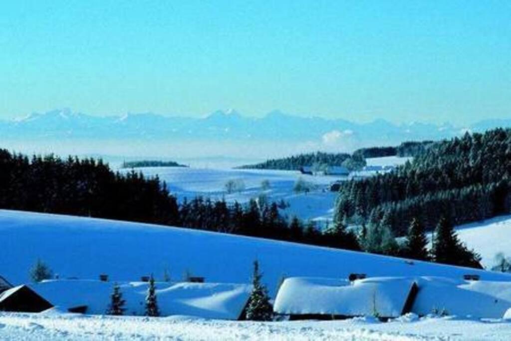 Ferienwohnung Am Skilift Herrischried Exterior foto